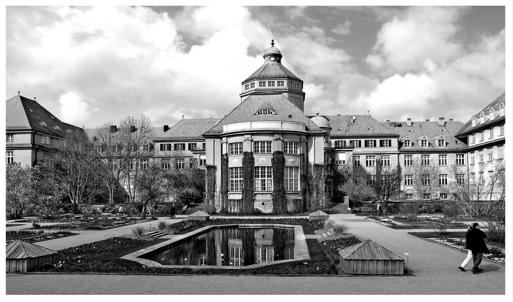 Frühlingserwachen im Botanischen Garten