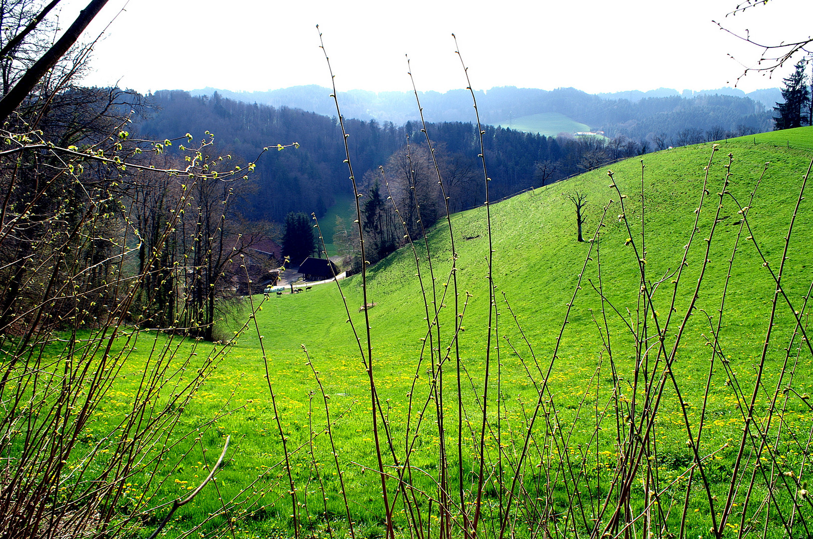 Frühlingserwachen im Emmental