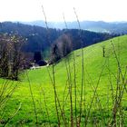 Frühlingserwachen im Emmental