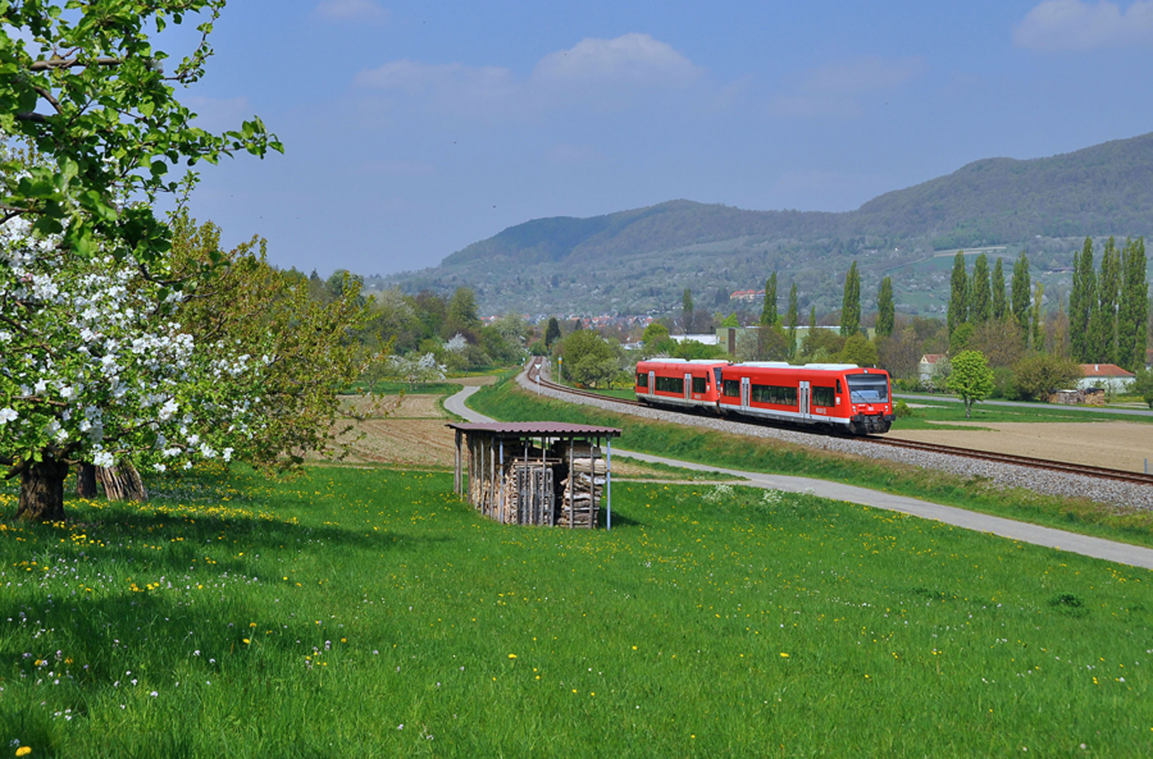 Frühlingserwachen im Ermstal