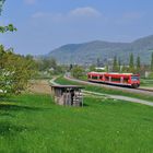 Frühlingserwachen im Ermstal