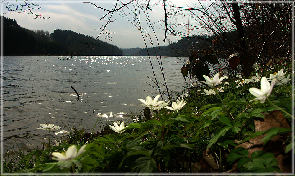 Frühlingserwachen im Ilztal-Stausee bei Passau