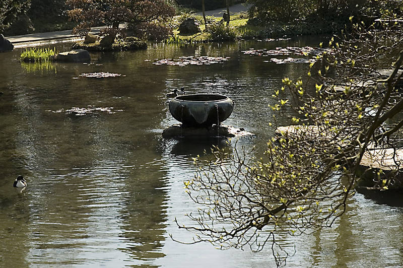 Frühlingserwachen im Japanischen Garten Leverkusen