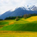 Frühlingserwachen im Lumnezia / Surselva