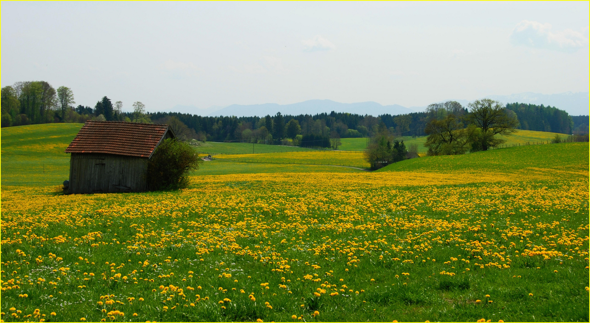 frühlingserwachen  im oberland