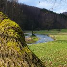 Frühlingserwachen im Polenztal