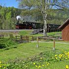 Frühlingserwachen im Preßnitz-und Schwarzwassertal