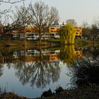 Frühlingserwachen im Spiegel des Aasee.