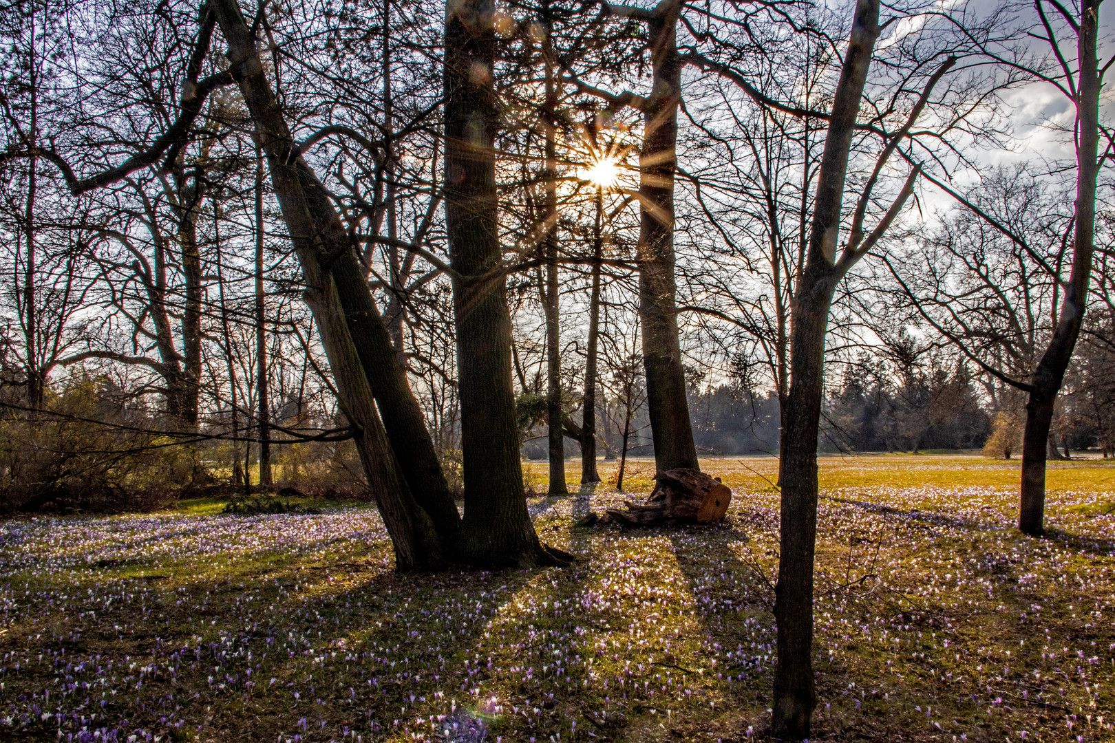 Frühlingserwachen im Wörlitzer Gartenreich