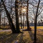 Frühlingserwachen im Wörlitzer Gartenreich