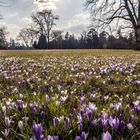 Frühlingserwachen im Wörlitzer Gartenreich