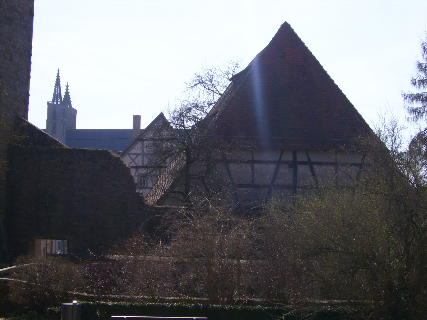 Frühlingserwachen in alten Mauern