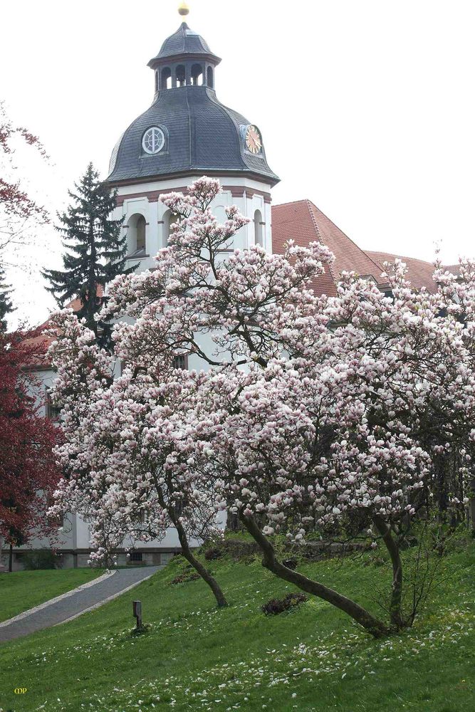 Frühlingserwachen in Bestform