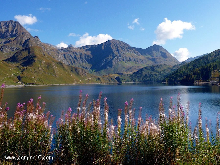 Frühlingserwachen in den Alpen