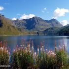 Frühlingserwachen in den Alpen