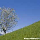 Frühlingserwachen in den Bergen