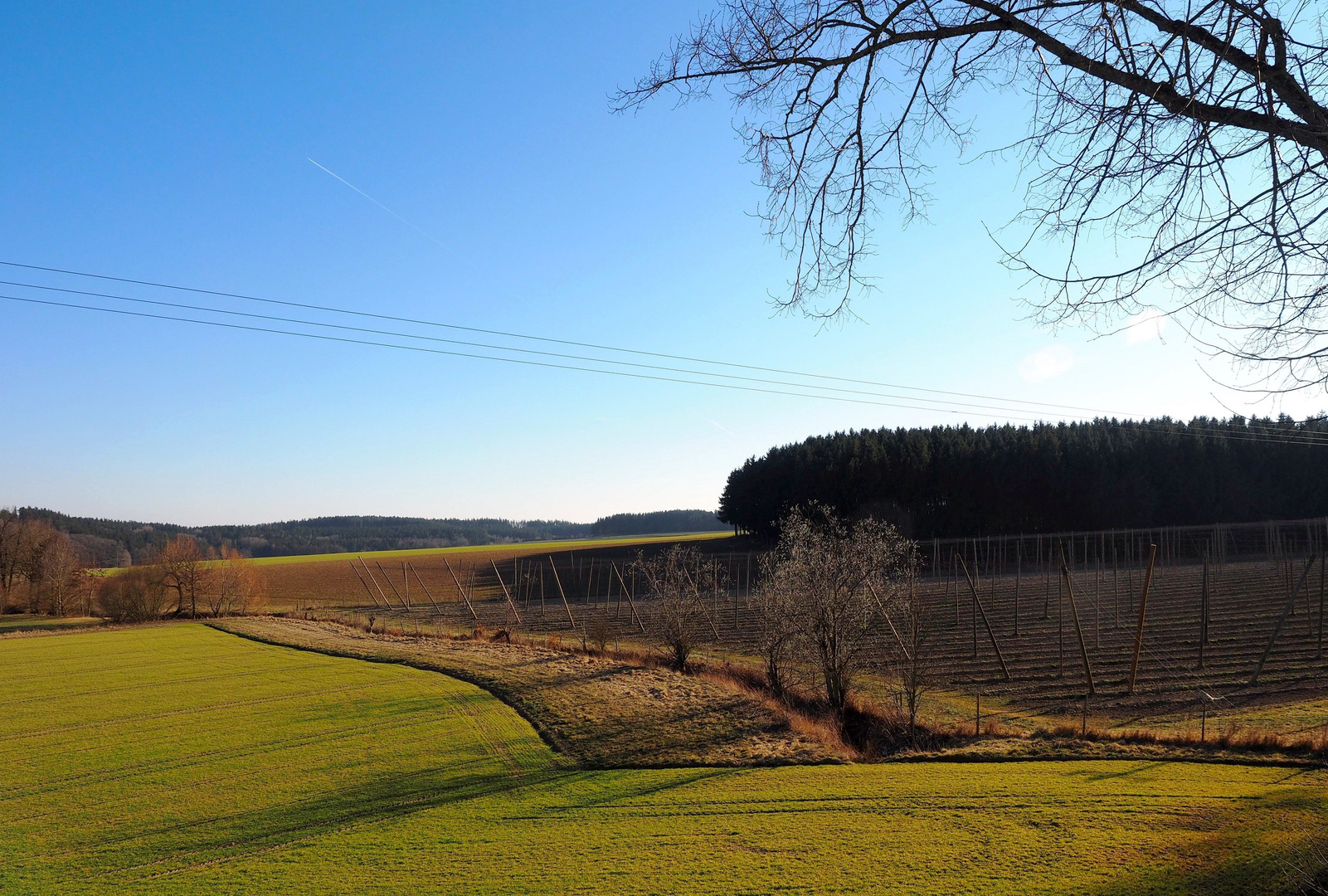 Frühlingserwachen in der Hallertau