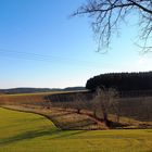 Frühlingserwachen in der Hallertau