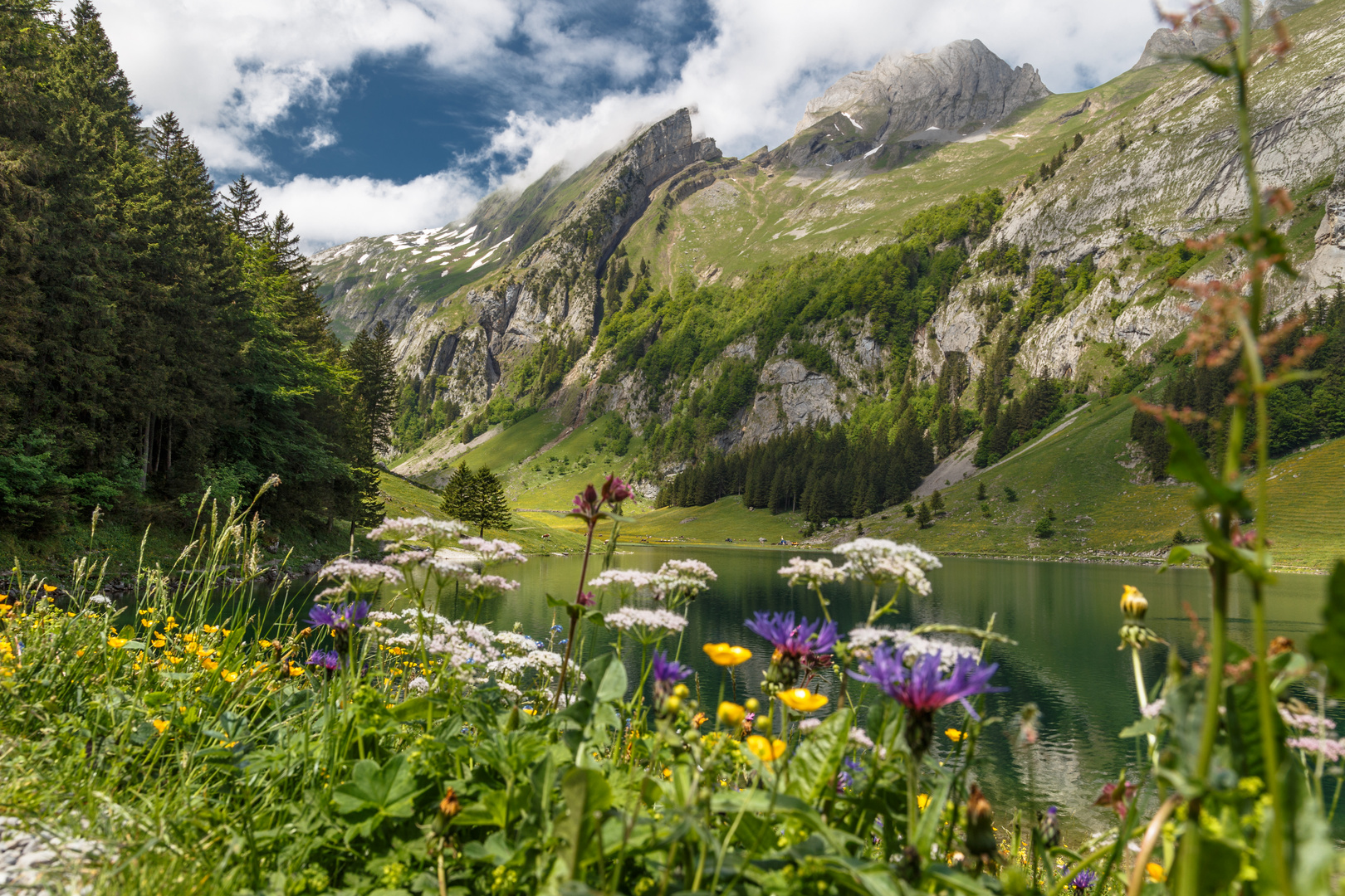 Frühlingserwachen in der Schweiz im letzten Jahr