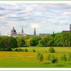 Frühlingserwachen in der Stadt