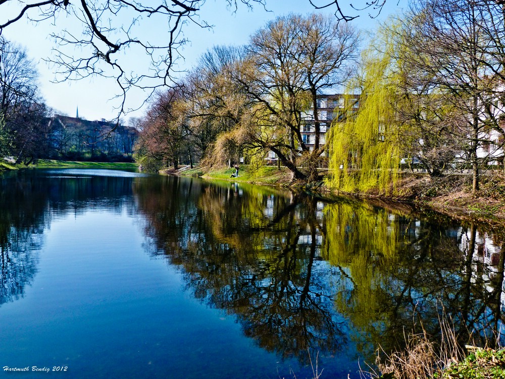 Frühlingserwachen in der Stadt