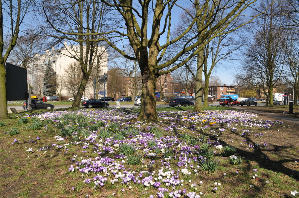 Frühlingserwachen in der Stadt