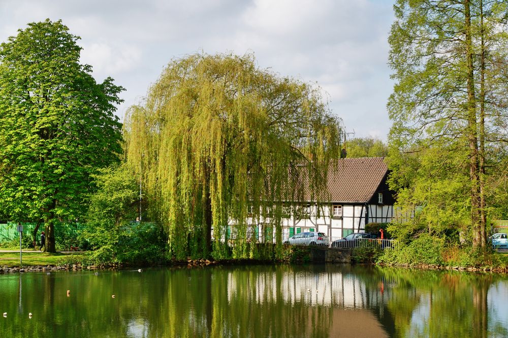 Frühlingserwachen  in Gelsenkirchen, Ortsteil Buer