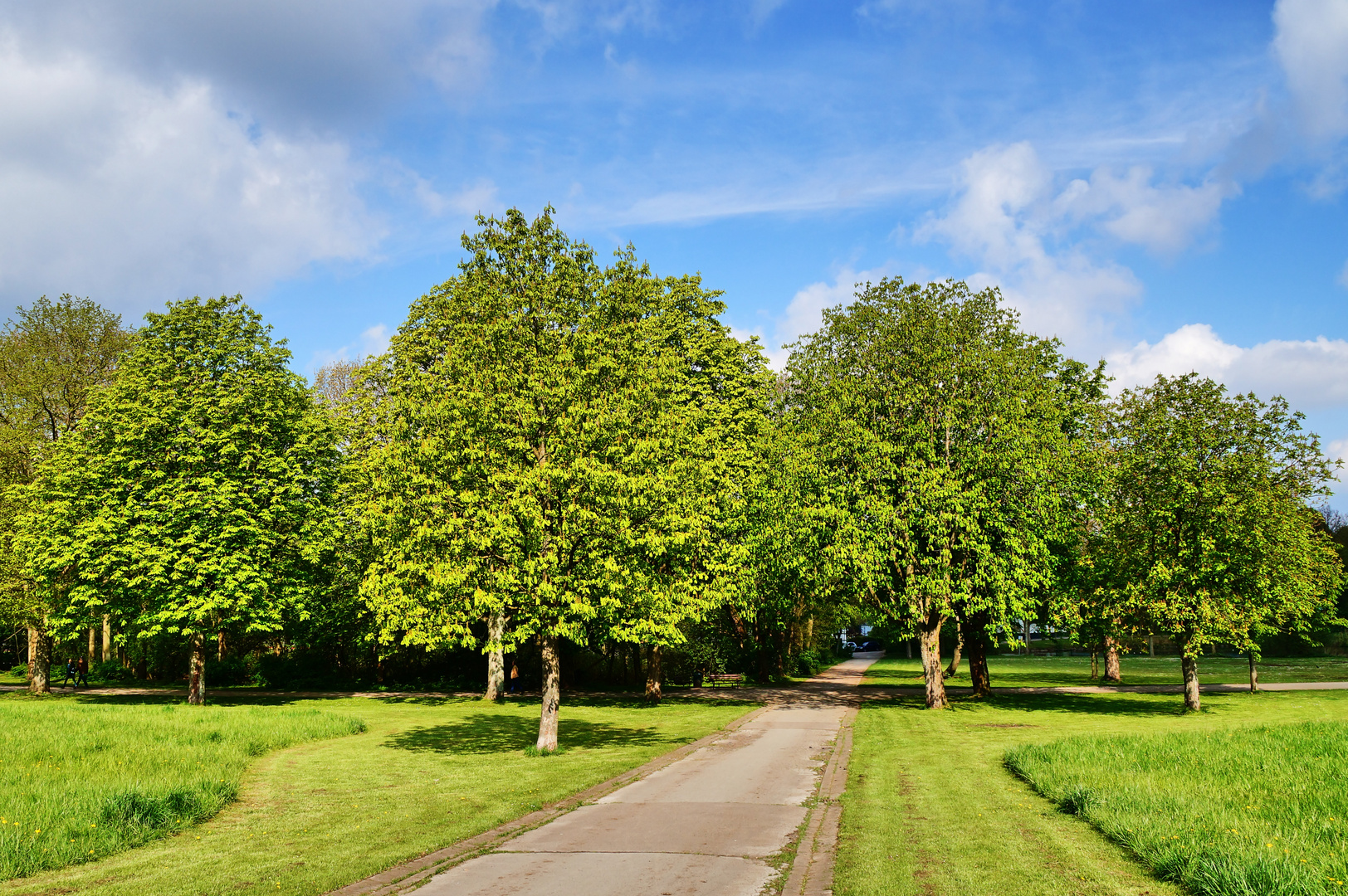 Frühlingserwachen  in Gelsenkirchen, Ortsteil Buer