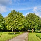 Frühlingserwachen  in Gelsenkirchen, Ortsteil Buer