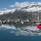 Frühlingserwachen in Lofthus amHardangerfjord/Norwegen