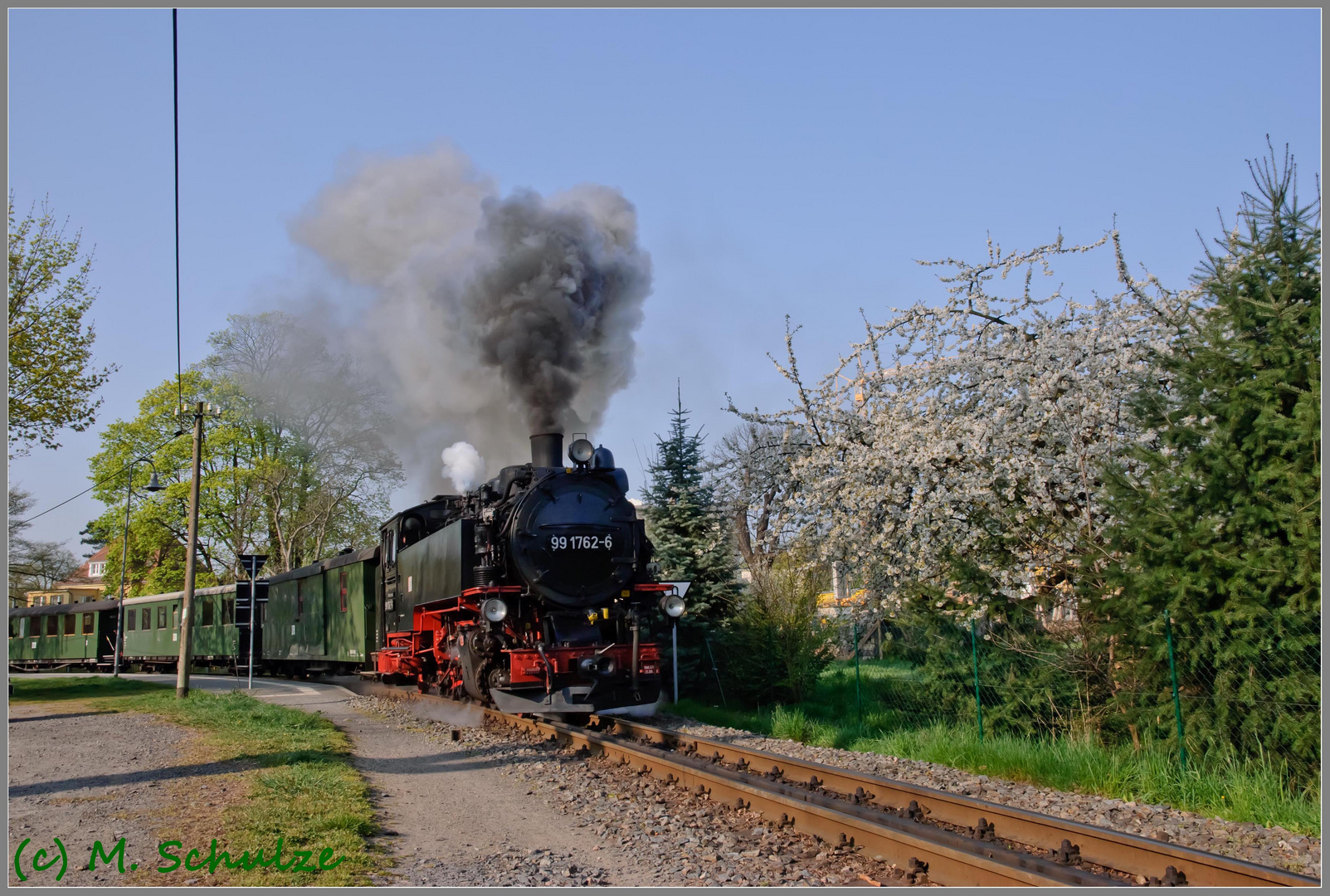 Frühlingserwachen in Radebeul