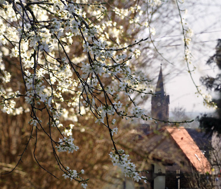 Frühlingserwachen in Rothenschirmbach