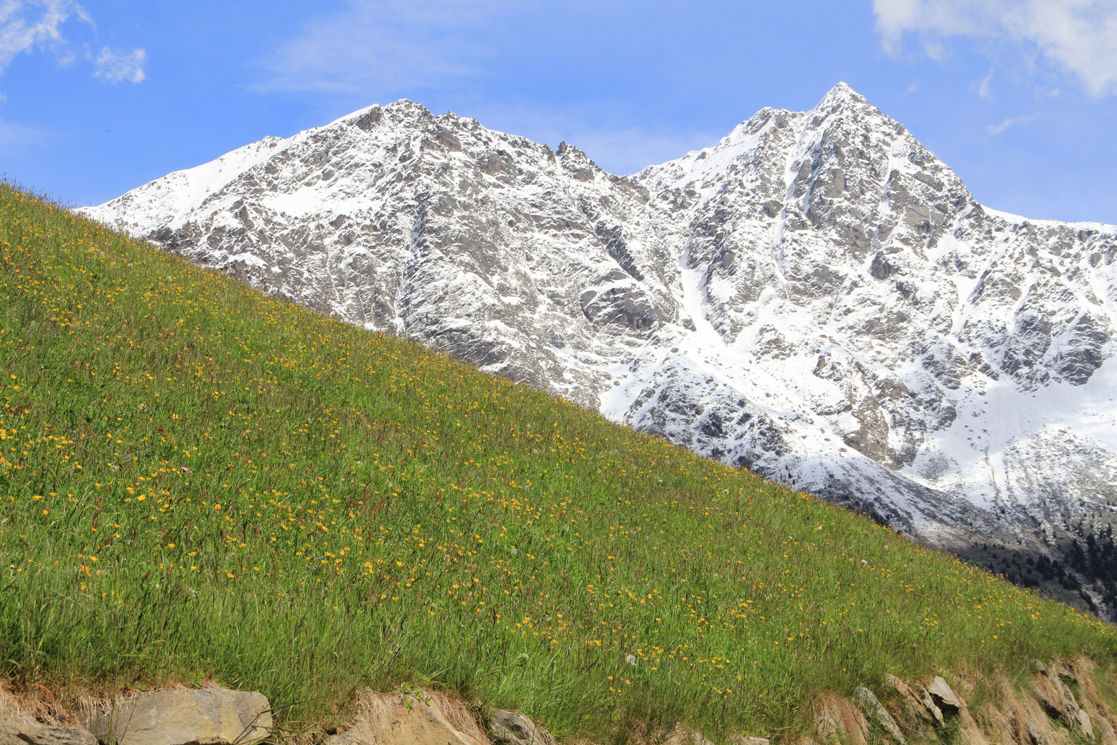 Frühlingserwachen in Südtirol