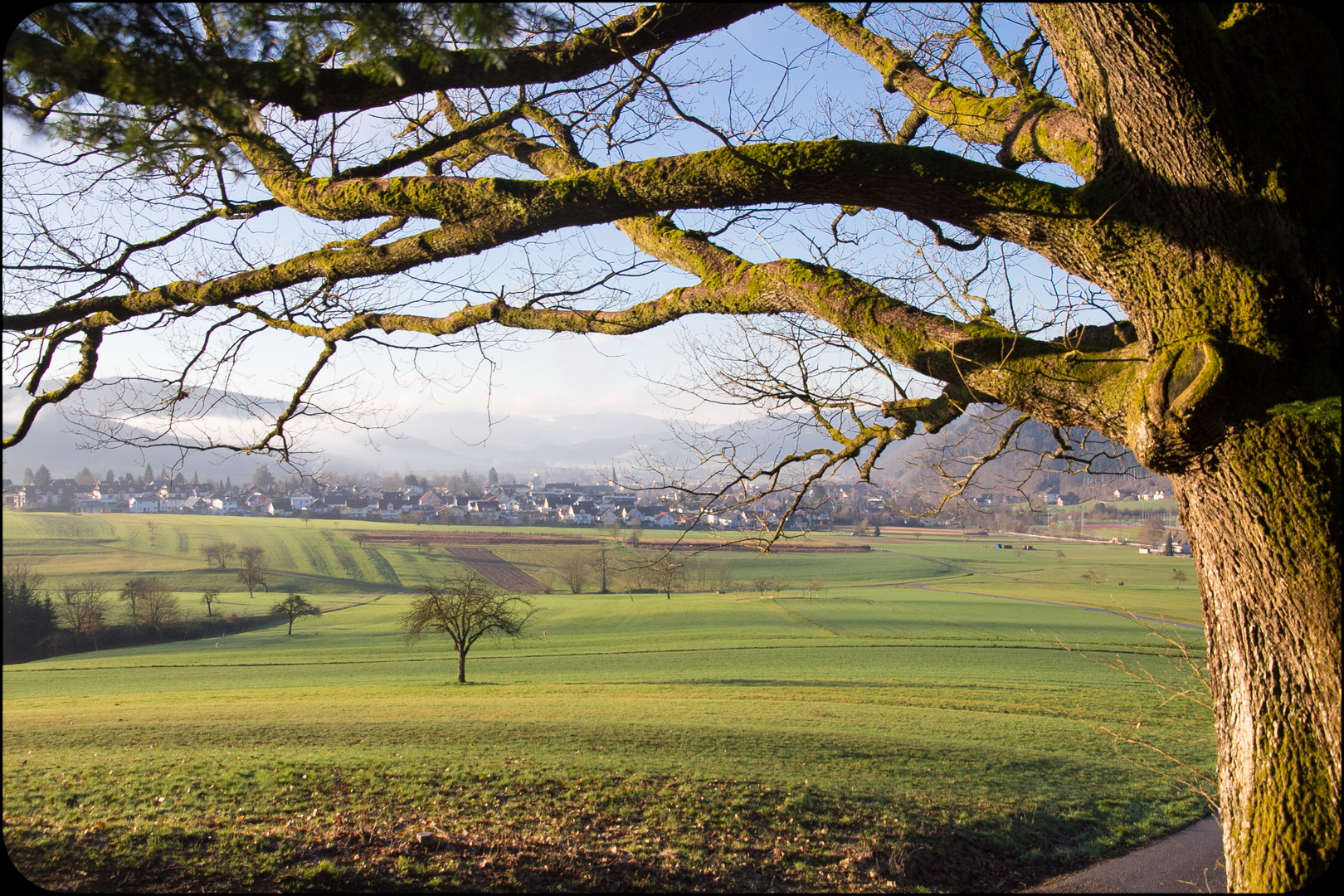 Frühlingserwachen in Zell a.H.