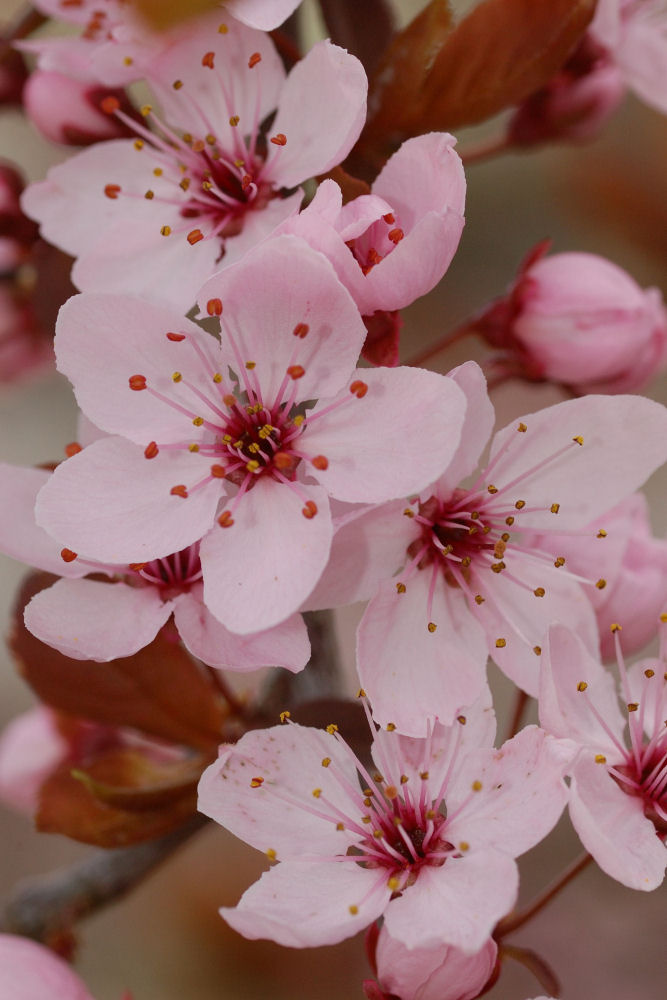 Frühlingserwachen pünktlich zu Ostern