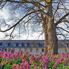 Frühlingserwachen Schloss Dehrn 