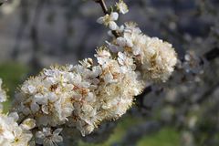 Frühlingserwachen sollte jetzt endlich beginnen