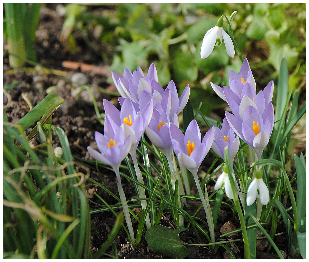 Frühlingserwachen, Teil 2