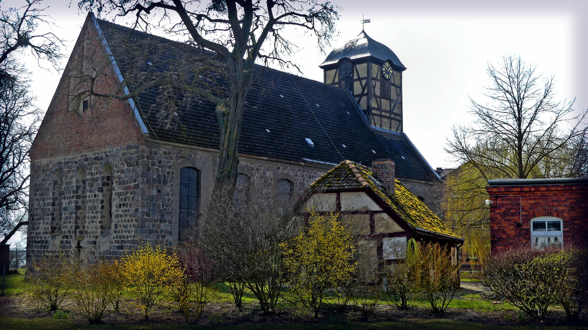 Frühlingserwachen...St.Sabinen in Prenzlau...