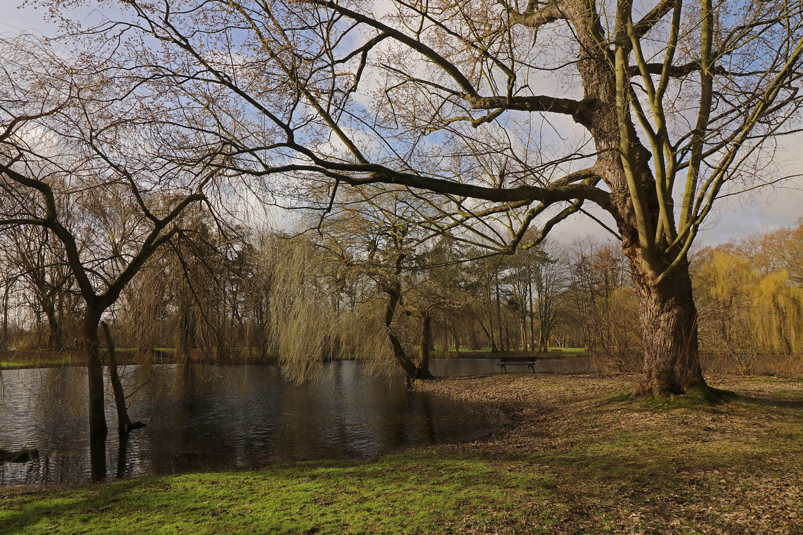 Frühlingserwartung im Park