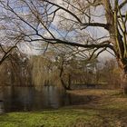 Frühlingserwartung im Park