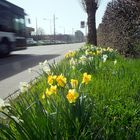 Frühlingsfahrt im Bus