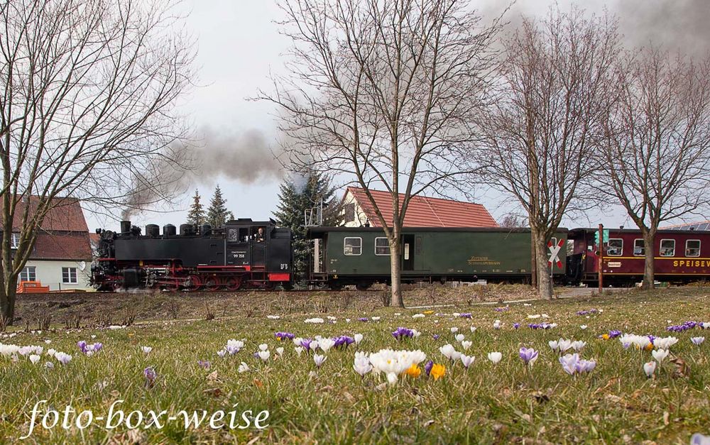 Frühlingsfahrt ins Gebirge