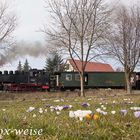 Frühlingsfahrt ins Gebirge