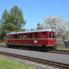 Frühlingsfahrt ins Zittauer Gebirge  -1