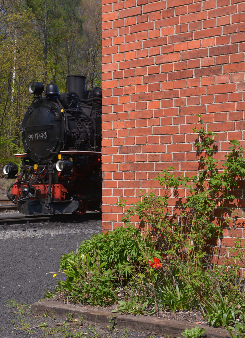 Frühlingsfahrt ins Zittauer Gebirge  -3