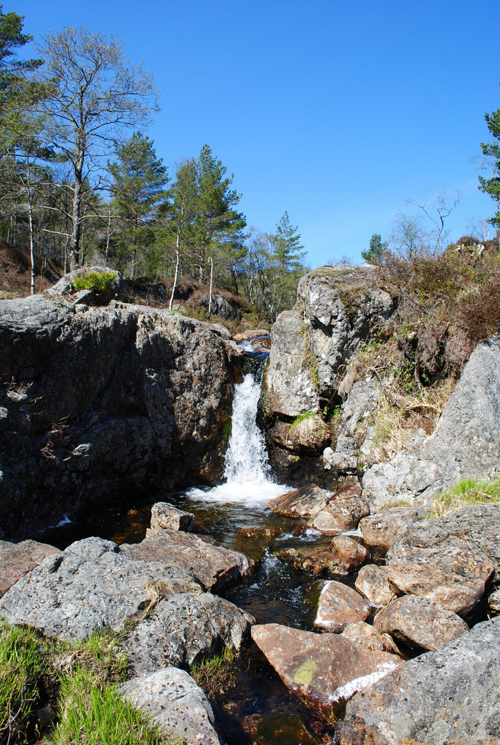 Frühlingsfall