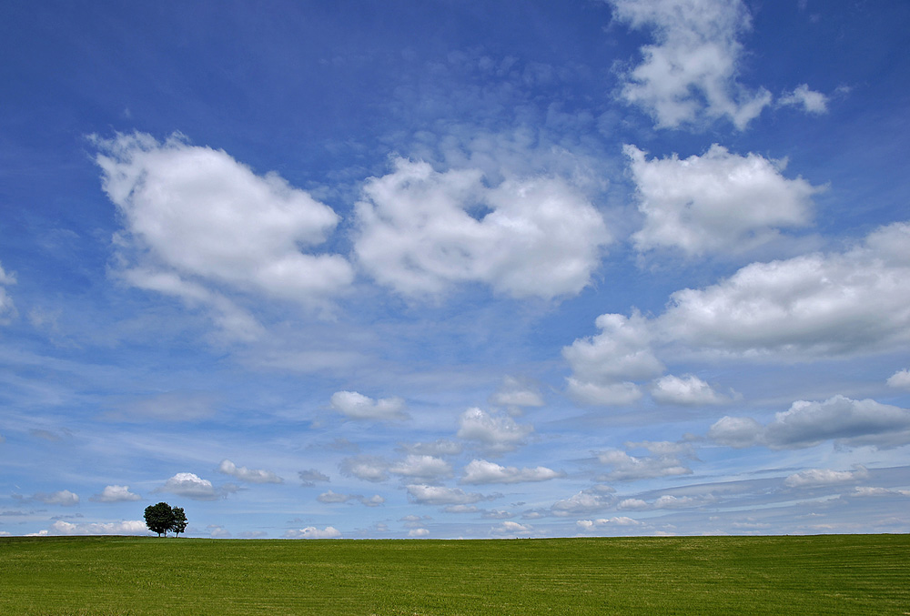 Frühlingsfarben 02