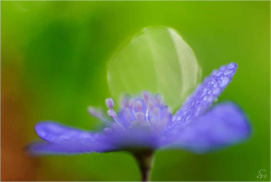 Frühlingsfarben