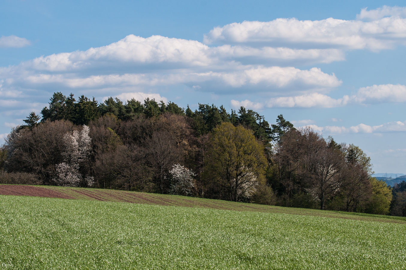 Frühlingsfarben